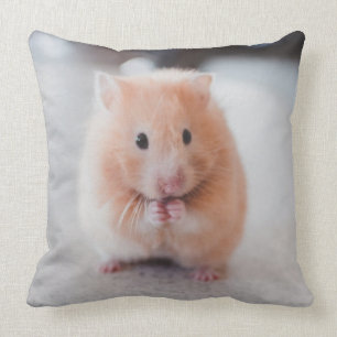 Almofada Animais de amores de hamster
