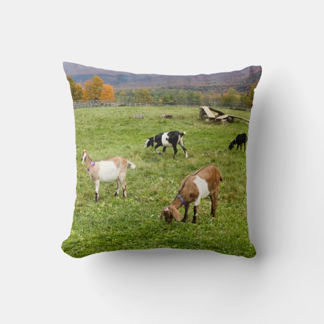 Almofada Animal Goats Pasture Vermont Foto (Frente)