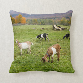 Almofada Animal Goats Pasture Vermont Foto