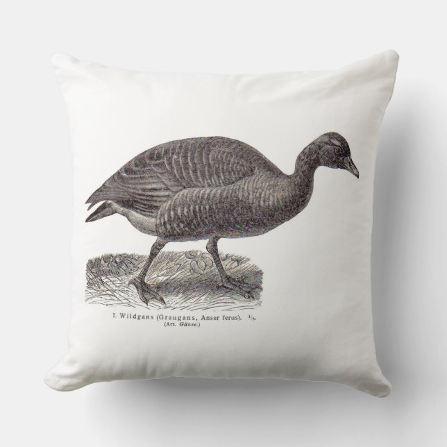 Almofada antigo ganso selvagem da impressão aviária alemã (Frente)