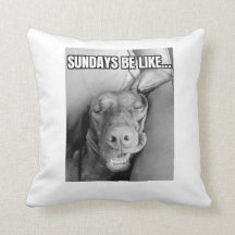 Aos Domingos Seja Como O Travesseiro De Vizsla
