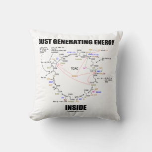 Almofada Apenas Gerando Humor Ciclo de Dentro de Energia