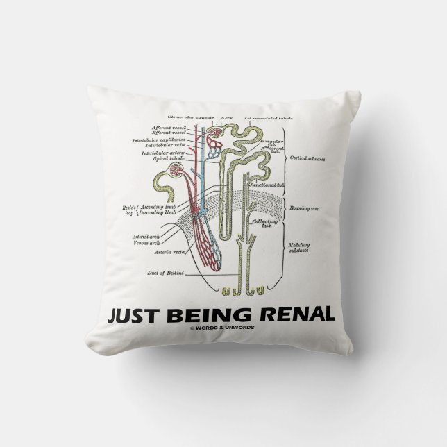 Almofada Apenas sendo renal (humor renal de Nephron do rim) (Frente)