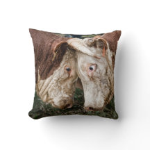 Aquele não é nenhum touro