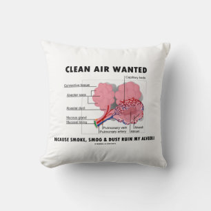 Almofada Ar Limpo Desejado Porque A Fumaça Ruin Alveoli Hu
