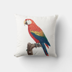 Almofada Ara Canga Parrot