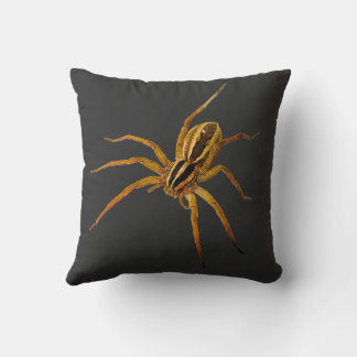 Almofada Aranha-lobo Rabid (Rabidosa rabida)