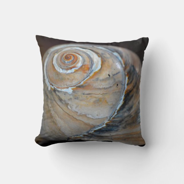 Almofada Arco-íris Moonsnail (Frente)