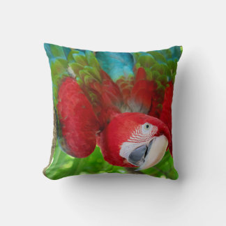 Almofada Are you looking at me? 