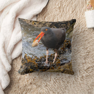 Almofada Aroma da orelha negra assombrosa do Oystercatcher
