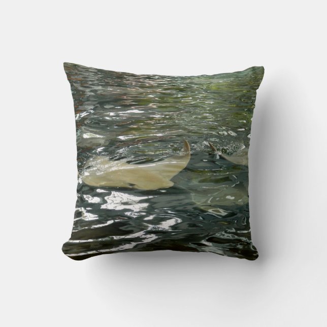 Almofada Arraia-lixa (Frente)