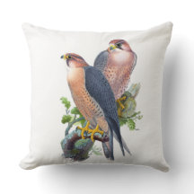 Arte Vintage do Falcão-Peregrino