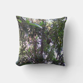 Almofada Árvore de Abacate