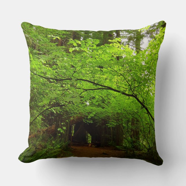 Almofada Árvores de bordo na floresta de sequóias (Frente)