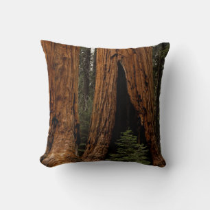Almofada Árvores Redwood, Parque Nacional Sequoia.