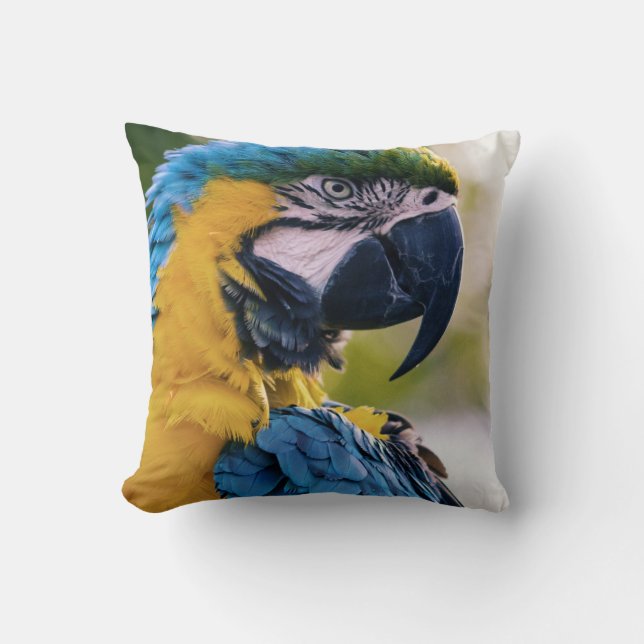Almofada as aves são os únicos animais com penas 8 (Frente)