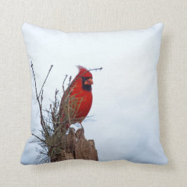 Almofada Assento cardinal do norte vermelho em um cargo de
