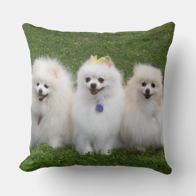 Almofada Assento de 3 Pomeranians (Frente)