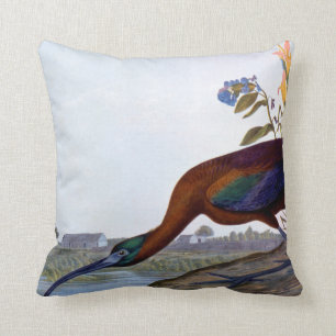 Almofada Audubon: Íbis lustrosos