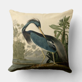 Almofada Audubon Louisiana Heron Birds América Art