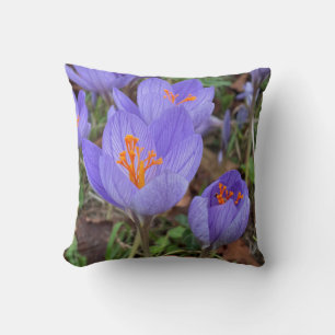 Almofada Autumn Crocus