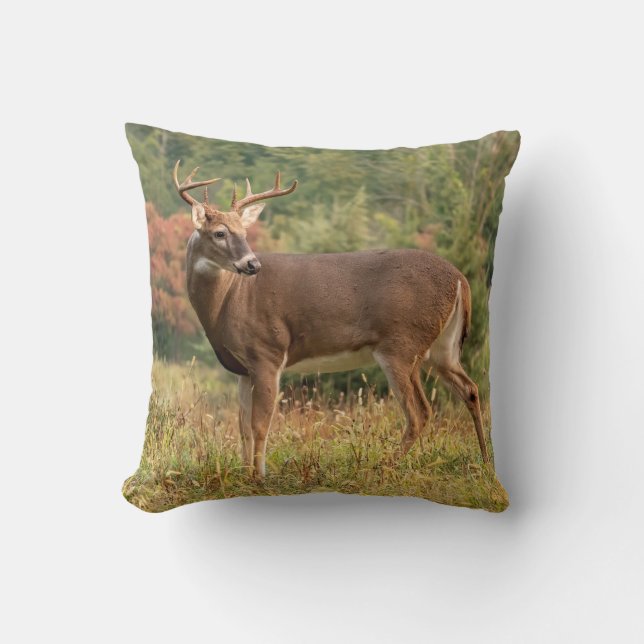 Almofada Autumn Whitetail Buck (Frente)