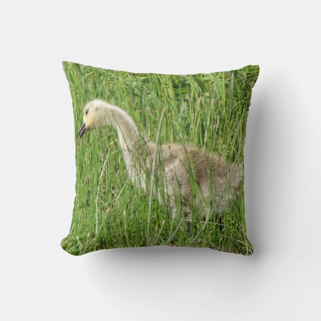Almofada B58 Ganso Canadense Gosling na Grama (Frente)