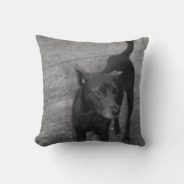 Almofada B&W - Aspin