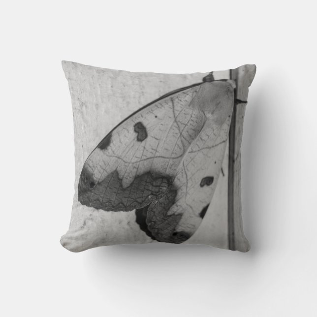 Almofada B&W - Ophiusa tirhaca, o tambor verde (Frente)