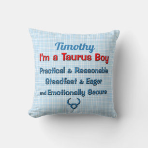 Almofada Baby Boy Taurus Zodiac Red e Blue Checks