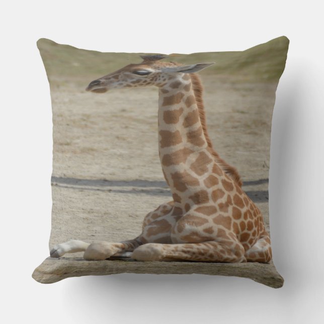 Almofada Baby Giraffe (Frente)
