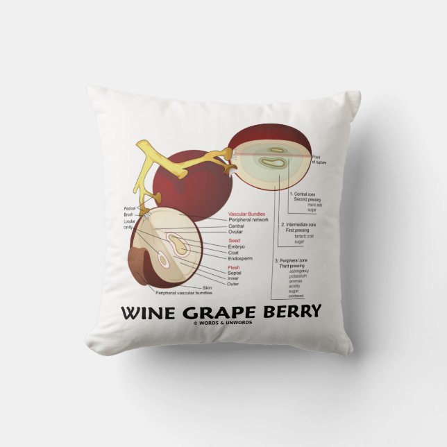Almofada Baga da uva para vinho (anatomia botânica) (Frente)