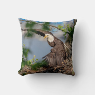 Almofada Bald Eagle deixando o ninho