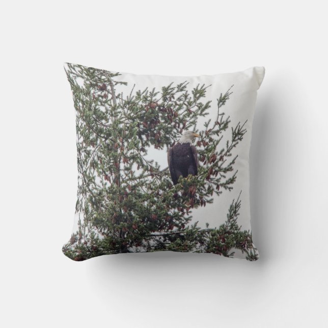 Almofada Bald Eagle P2825 (Frente)