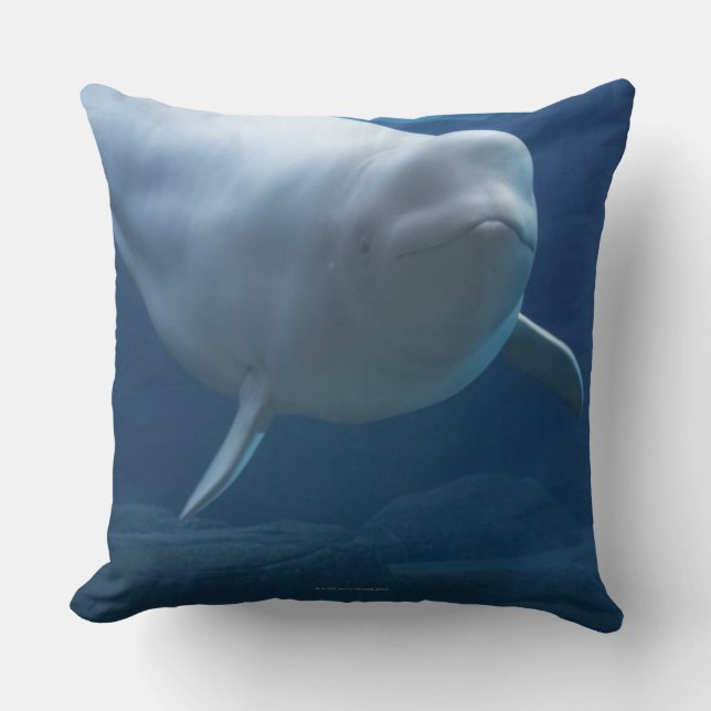 Almofada Baleia da beluga (leucas do Delphinapterus) (Frente)