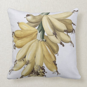 Almofada Banana, 1816