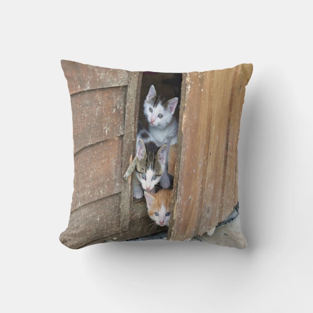 Almofada Barnyard Kittens (Frente)