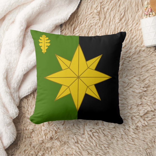 Almofada Baronia do Travesseiro decorativo Crachá de Brendo (Cobertor)