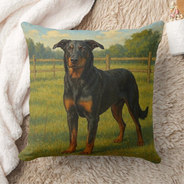 Almofada Beauceron (Cobertor)