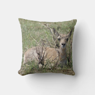 Almofada Bébe Antilope A7