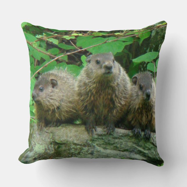 Almofada Bebês-Groundhogs - Woodchucks - Porcas (Frente)