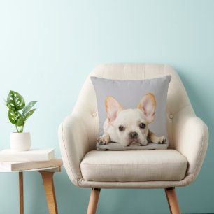 Almofada Bebês Mais Pobres   Buldogue Francês Deitado