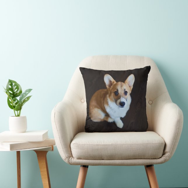 Almofada Bebês Mais Pobres | Corgi Procurando (Cadeira)