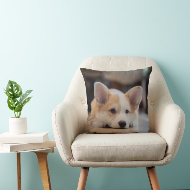 Almofada Bebês Mais Pobres | Corgi-Puppy com sono (Cadeira)