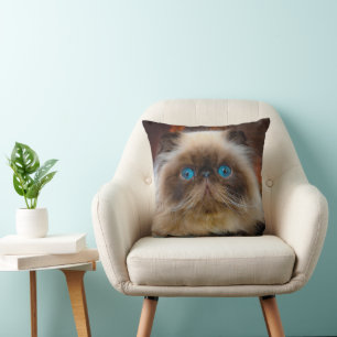Almofada Bebês Mais Pobres Gato de Himalaia