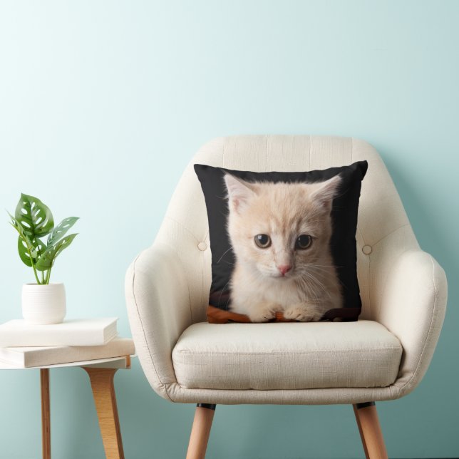 Almofada Bebês Mais Pobres | Ginger Kitten (Cadeira)