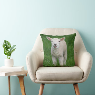 Almofada Bebês Mais Pobres Lil Lamb