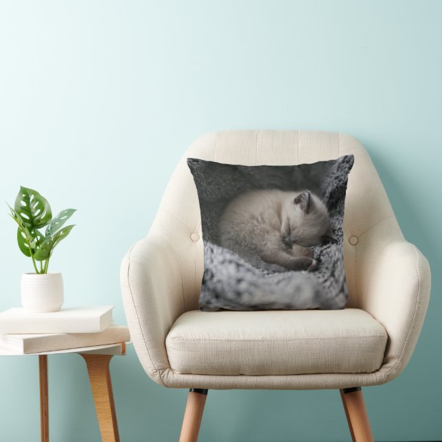 Almofada Bebês Mais Pobres | Pequeno Gato Dormindo (Cadeira)