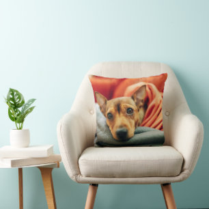 Almofada Bebês Mais Pobres Pinscher miniatura