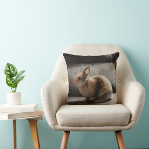 Almofada Bebês Mais Pobres Rabbit anão neerlandês